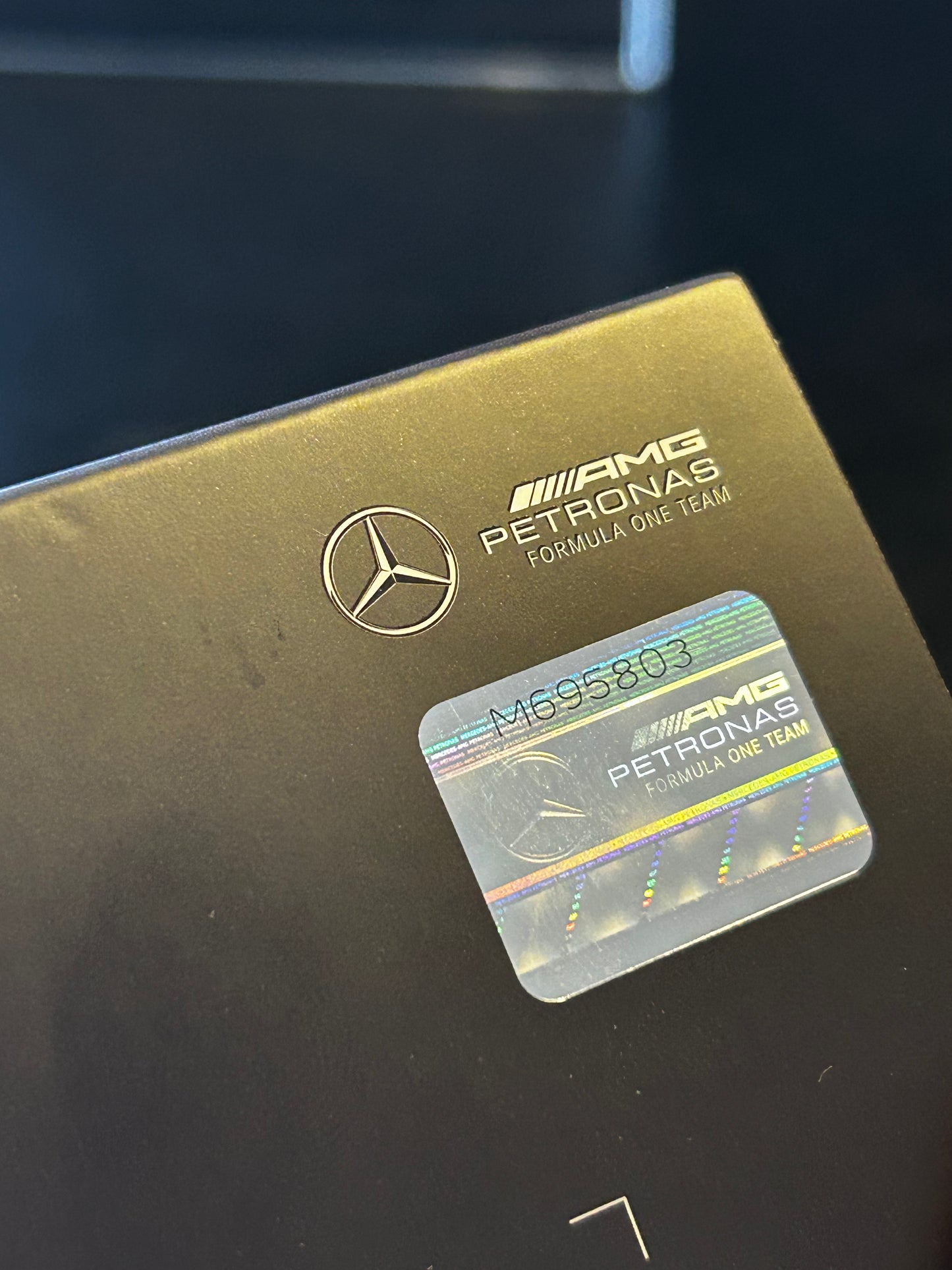 Miniatura Mercedes-AMG Petronas F1 W13 #44 Lewis Hamilton - Escala 1:43 (Licenciada)